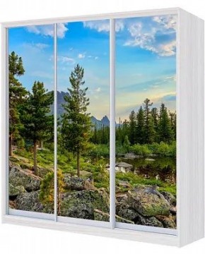 Шкаф-купе ХИТ 24-18/2-777 ПРИРОДА в Кунгуре - kungur.mebel24.online | фото