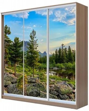 Шкаф-купе ХИТ 24-20/2-777 ПРИРОДА в Кунгуре - kungur.mebel24.online | фото