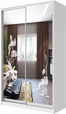 Шкаф-купе ХИТ 24-4-12-66 ЦАПЛИ в Кунгуре - kungur.mebel24.online | фото