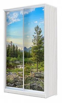 Шкаф-купе ХИТ 24-4-15-77 ПРИРОДА в Кунгуре - kungur.mebel24.online | фото