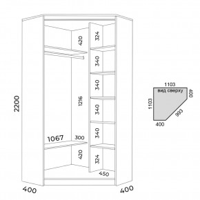 Шкаф-купе ХИТ-У-22-4-55 в Кунгуре - kungur.mebel24.online | фото 3