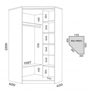Шкаф-купе ХИТ-У-L-22-64-77 в Кунгуре - kungur.mebel24.online | фото 2