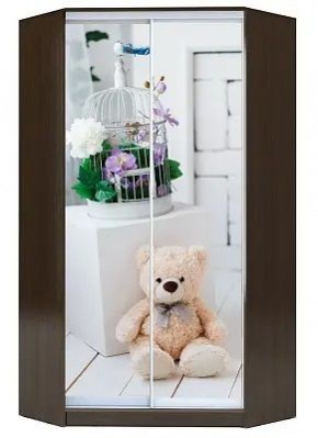 Шкаф-купе ХИТ-У-L-23-64-77 МИШКА В ИНТЕРЬЕРЕ в Кунгуре - kungur.mebel24.online | фото