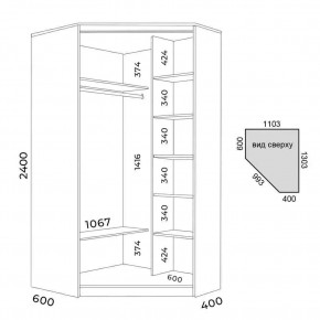 Шкаф-купе ХИТ-У-L-24-64-55 в Кунгуре - kungur.mebel24.online | фото 3