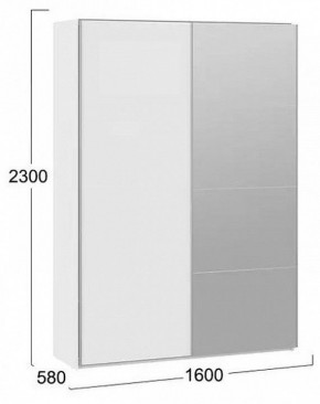 Шкаф-купе Траст в Кунгуре - kungur.mebel24.online | фото 3