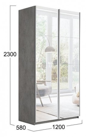 Шкаф-купе Траст СШК 2.120.60-13.13 в Кунгуре - kungur.mebel24.online | фото 3