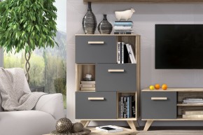 Шкаф низкий с нишами Вега Скандинавия в Кунгуре - kungur.mebel24.online | фото 6