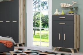 Шкаф низкий Вега Скандинавия в Кунгуре - kungur.mebel24.online | фото 8