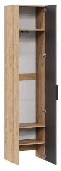 Шкаф платяной Асти в Кунгуре - kungur.mebel24.online | фото 2