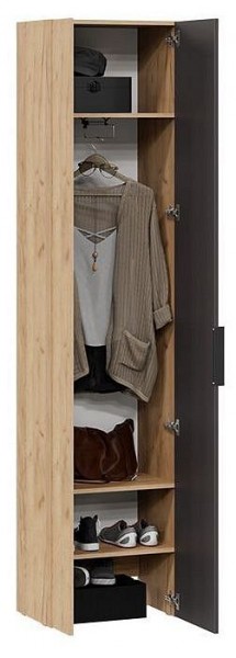 Шкаф платяной Асти в Кунгуре - kungur.mebel24.online | фото 3