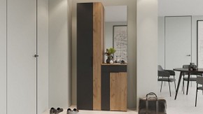 Шкаф платяной Асти в Кунгуре - kungur.mebel24.online | фото 5