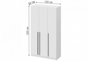 Шкаф платяной Бирма ШК-1200 в Кунгуре - kungur.mebel24.online | фото 4