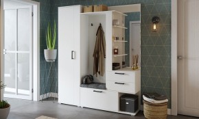Шкаф платяной Эрика в Кунгуре - kungur.mebel24.online | фото 3