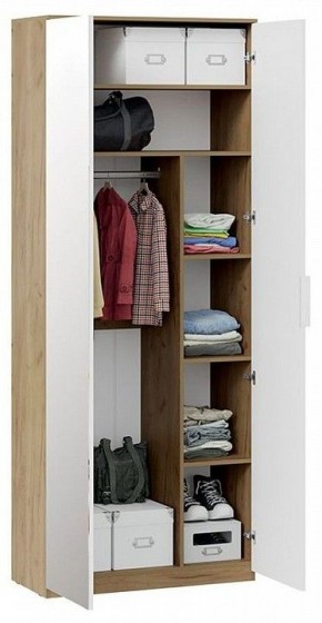 Шкаф платяной Хилтон Исп. 2.1 в Кунгуре - kungur.mebel24.online | фото 4