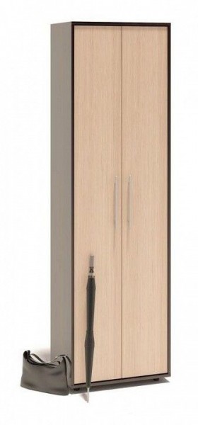 Шкаф платяной ШО-1 в Кунгуре - kungur.mebel24.online | фото