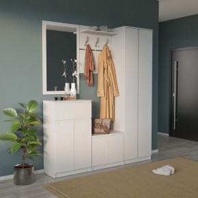 Шкаф платяной ШО-4 в Кунгуре - kungur.mebel24.online | фото 6