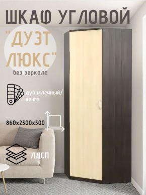 Шкаф угловой Дуэт Люкс без зеркала в Кунгуре - kungur.mebel24.online | фото 3