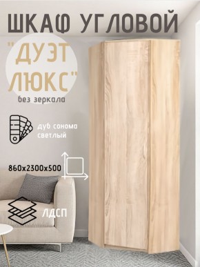 Шкаф угловой Дуэт Люкс без зеркала в Кунгуре - kungur.mebel24.online | фото 5