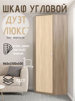 Шкаф угловой Дуэт Люкс без зеркала в Кунгуре - kungur.mebel24.online | фото 7