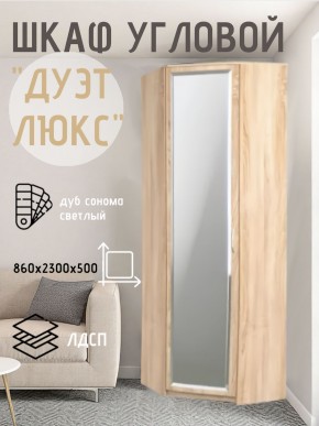 Шкаф угловой Дуэт Люкс с зеркалом в Кунгуре - kungur.mebel24.online | фото 1