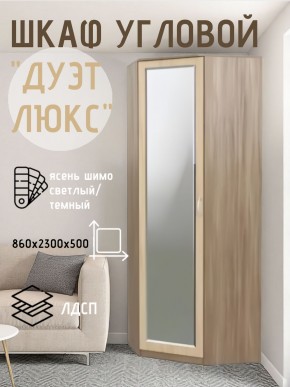 Шкаф угловой Дуэт Люкс с зеркалом в Кунгуре - kungur.mebel24.online | фото 3