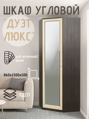Шкаф угловой Дуэт Люкс с зеркалом в Кунгуре - kungur.mebel24.online | фото 5