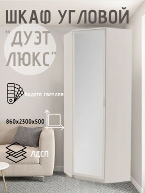 Шкаф угловой Дуэт Люкс с зеркалом в Кунгуре - kungur.mebel24.online | фото 6