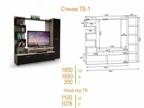 Стенка для гостиной ТВ-1 в Кунгуре - kungur.mebel24.online | фото 2