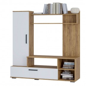 Гостиная Евро 2 (крафт/белый) в Кунгуре - kungur.mebel24.online | фото 3