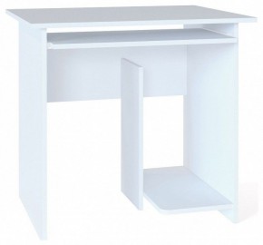 Стол компьютерный КСТ-21.1 в Кунгуре - kungur.mebel24.online | фото
