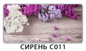 Стол раздвижной Трилогия с фотопечатью Доска D113 в Кунгуре - kungur.mebel24.online | фото 16
