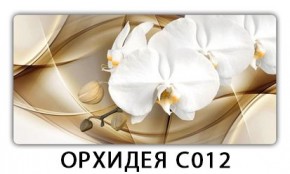 Стол раздвижной Трилогия с фотопечатью Ромашки R007 в Кунгуре - kungur.mebel24.online | фото 13