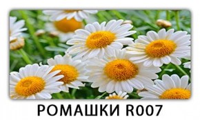 Стол раздвижной Трилогия с фотопечатью Ромашки R007 в Кунгуре - kungur.mebel24.online | фото 15