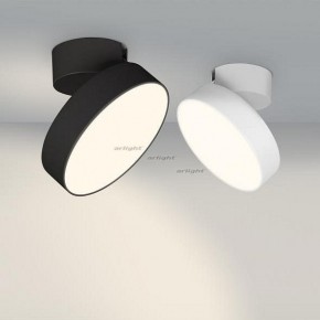 Светильник на штанге Arlight SP-RONDO-FLAP-R210-20W Day4000 (BK, 110 deg) 026453 в Кунгуре - kungur.mebel24.online | фото 3