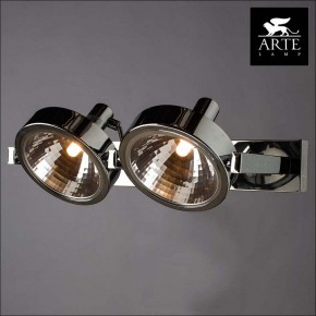 Светильник на штанге Arte Lamp Faccia A4507PL-2CC в Кунгуре - kungur.mebel24.online | фото 3