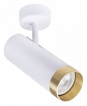 Светильник на штанге Arte Lamp Topic A2357PL-1WH в Кунгуре - kungur.mebel24.online | фото
