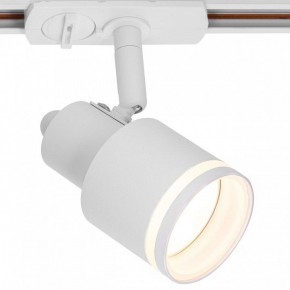 Светильник на штанге Citilux Bruno CL565T10 в Кунгуре - kungur.mebel24.online | фото 2