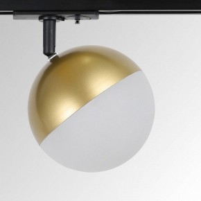 Светильник на штанге Elektrostandard Glob a053137 в Кунгуре - kungur.mebel24.online | фото