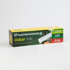 Светильник на штанге Elektrostandard Oskar a040963 в Кунгуре - kungur.mebel24.online | фото 6