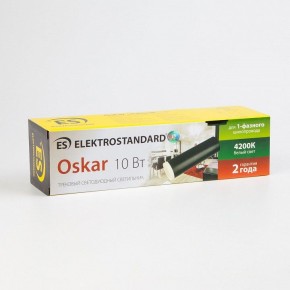 Светильник на штанге Elektrostandard Oskar a040964 в Кунгуре - kungur.mebel24.online | фото 4