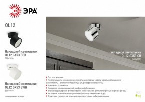 Светильник на штанге Эра OL12 GX53 SBK Б0049034 в Кунгуре - kungur.mebel24.online | фото 5