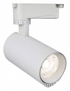 Светильник на штанге Escada 20031 20031TRA/01LED SWH в Кунгуре - kungur.mebel24.online | фото