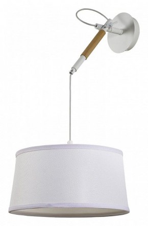 Светильник на штанге F-promo Eureka 3005-1P в Кунгуре - kungur.mebel24.online | фото 2