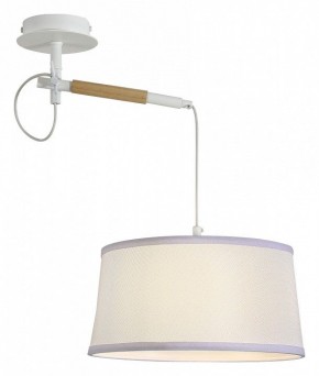 Светильник на штанге F-promo Eureka 3005-1P в Кунгуре - kungur.mebel24.online | фото 4