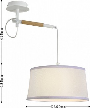 Светильник на штанге F-promo Eureka 3005-1P в Кунгуре - kungur.mebel24.online | фото 5