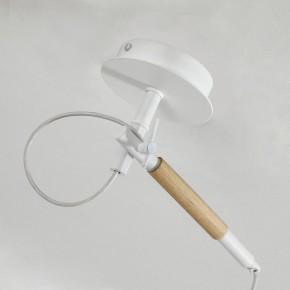 Светильник на штанге F-promo Eureka 3005-1P в Кунгуре - kungur.mebel24.online | фото 8