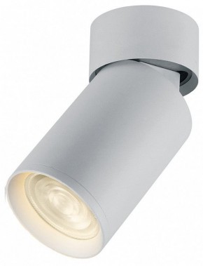 Светильник на штанге Feron Barrel 41876 в Кунгуре - kungur.mebel24.online | фото 2