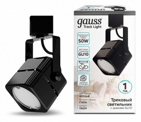 Светильник на штанге Gauss TR TR009 в Кунгуре - kungur.mebel24.online | фото 2
