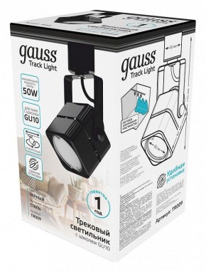 Светильник на штанге Gauss TR TR009 в Кунгуре - kungur.mebel24.online | фото 4