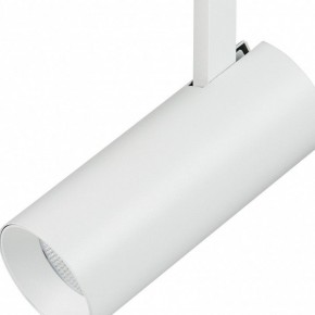 Светильник на штанге Lightstar Fuoco 218226 в Кунгуре - kungur.mebel24.online | фото 3